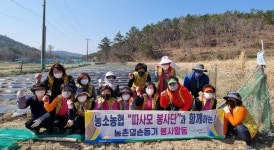 농소농협, 따사모봉사단 농촌일손돕기