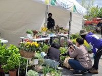 국립세종수목원에서  다양한 정원식물 만나봐요