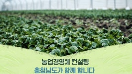 충남도, 민간 전문가의 맞춤형 경영·기술 컨설팅 비용 50% 지원