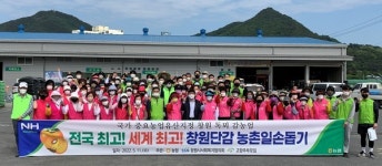 농협창원시지부, 창원단감 풍년농사 기원 농촌일손돕기 실시