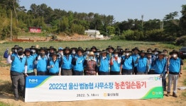 농협울산본부, 법인대표와 사무소장 농촌일손돕기 실시