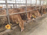 [특별기획] 고 곡물가 시대, 이렇게 대비한다 (1) 천수골농장