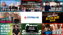 천하제일사료, 상반기 유튜브 결산