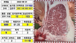 둥이네농장, 역대 최단기간 슈퍼한우 출하 화제