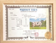 [기획] 한국종축개량협회의 찾아가는 서비스 ③유우개량부의 엑셀런트우 인증 사업