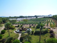 [기획연재] 메가 FTA시대, 첨단과학기술로 스타트업을 꿈꾸다 ②메가 FTA시대, 대한민국 대표 농식품 R&D가 뜬다-최적화된 육종기술로 중국... 