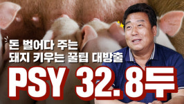 천하제일사료, PSY 32.8마리 자랑하는 청명농장의 비밀 밝혀