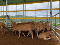 [특별기획] 고 곡물가 시대, 이렇게 대비한다 (4) 산아래농장