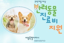 세종시, 취약계층 반려동물 진료비 지원