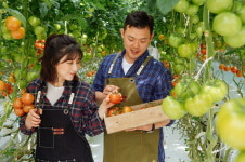 [기획연재] 한국농식품법인연합회, 대한민국 농식품 초석 다진다 ⑤부안마케팅영농조합법인