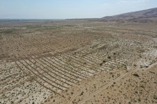 산림청, 개발도상국 ODA 참여 기업설명회 개최