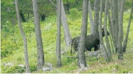 [신년특집] 선진농업의 전제, 산업동물복지