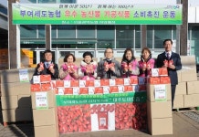 서울 관악농협, 부여 세도농협 대추토마토즙 1000박스 공동구매