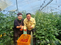 [미니인터뷰] 박순동 오가웰빙 대추형방울토마토 농장 대표