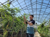 전남도, 5월 친환경 농산물에 블루베리