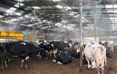 전남농기원, 연이은 폭우·폭염...가축관리 철저 당부