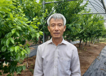 강소농업인 최도균 대표, 대추 비가림재배 소득 창출