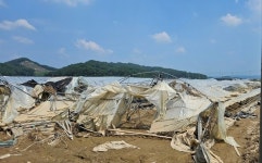 아산시, 제6호 태풍 카눈 대비 농작물 피해 예방 당부