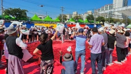문전성시 청양고추·구기자 문화축제, 성료