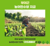 부여군, 농어민수당 굿뜨래페이로 지급