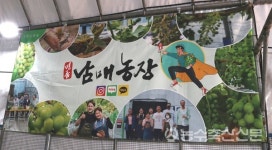 [2023 신젠타 청년농업인 네트워크] MZ농업인과 착한동행 ③박상윤 명품남매농장 대표