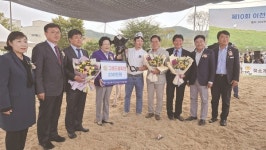 이천시 홀스타인품평회 성료…흥천목장 출품 소, 그랜드챔피언 차지