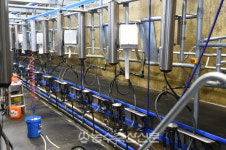 [농수축산신문-한국종축개량협회 공동기획] 가축개량, 기록에서 답을 찾다 ⑦최광현 대흥목장 대표