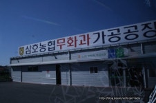 [탐방]영암 삼호농협 무화과가공공장