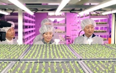 농업, 고소득 미래 성장산업으로 전환...스마트농산업 육성 나선다