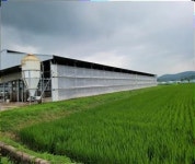 [주목] 한우 사육기간 단축 어떻게 되고 있나