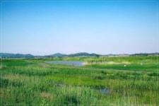 충남도 내 전체 골프장 32곳 농약잔류량 검사