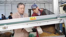 이완섭 서산시장, 벼 공동육묘장 찾아 일손 보태