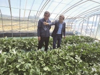 [탐방] 부여농협 생산성 우수한 무측지수박 