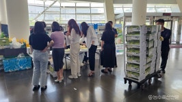 세종전의농협, 세종시청서 꿀먹은 전의멜론 홍보판매전 펼쳐