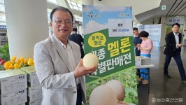 세종전의농협, 세종시청서 꿀먹은 전의멜론 홍보판매전 펼쳐