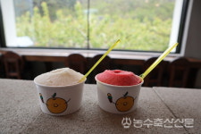임금님 진상품 낙산배가 디저트 젤라토·소르베로 변신…맛집 입소문