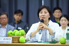 햇사과 출하 개시…작황 양호, 공급·가격 안정 기대