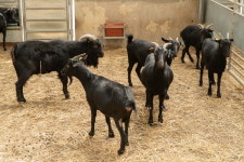 [기획] 국내 염소산업, 어디까지 왔을까