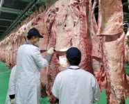 축평원 부산울산경남지원, 제19회 경남 한우 고급육 경진대회 심사