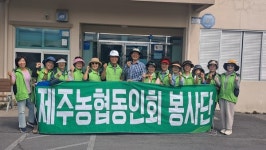 제주농협동인회봉사단-농협은행 기업센터지점, 추석맞이 환경정비활동