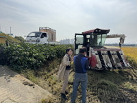 아산시 염치읍 고영경 읍장, 벼베기 현장 찾아 농업인들 격려·소통