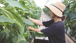        [2024 꿈을 일구는 청년농업인] 8. 윤보연 오누이농장 대표