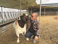 [농수축산신문-한국종축개량협회 공동기획] 미래 축산의 열쇠, 유전자에서 찾다 ① 강세훈 에덴팜스 대표