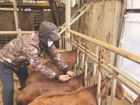 [농수축산신문-한국종축개량협회 공동기획] 미래 축산의 열쇠, 유전자에서 찾다 ① 강세훈 에덴팜스 대표