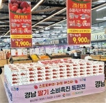 경남도·농협경남부본부, 딸기 소비촉진 행사 지행
