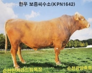 순천광양축협 자연드림목장, 보증종모우 최종 선발