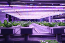 농업용 기자재 부가세 사후환급‧영세율 적용 대상 확대