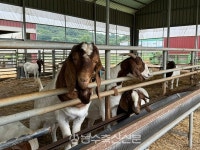 [Issue+] 염소 산업 호황, 올해도 이어지나