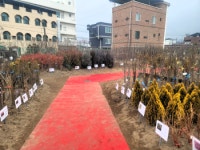 거창군산림조합, 나무전시 판매장 운영