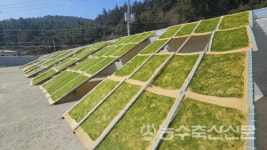 [농수축산신문-KMI 공동기획] 어촌여지도 ④작은 경영체가 된 마을…사람이 모이는 어촌의 비결